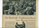 Hoogstraten : De Bloeiende Tuinbouwcultuur  (  2 Blz. Uit Zondagsvriend 1936 ) - Hoogstraten