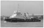 Remorqueur Britannique NIMBLE Carte Photo Wright & Logan - Tugboats