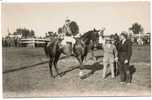 18006  -   Waregem    "  Carte  Photo  "   Cheval  De  Course - Waregem