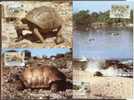 Seychelles Sesel Island 1985 WWF Reptiles Turtles 4 Maximum Cards - Seychelles (1976-...)