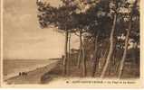 La Plage Et Les Sapins - Saint-Brevin-les-Pins