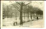 CPA  PARIS Avenue Montaigne  3921 - Inondations