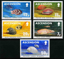 Ascension 1983 MiNr. 349 - 353 Marine Life SHELLS 5v  MNH**  5,00 € - Coneshells