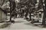 CPSM MUNSINGEN (Allemagne-Bade Wurtemberg) - L'allée Centrale Du Camp - Muensingen