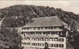 TODTMOOS / HOTEL LOWEN   /////    REF19584 - Todtmoos