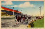 HARNESS RACES - SULKY / COURSE De TROT ATTELÉ - RACE TRACK : CHARLOTTETOWN - P.E.I. - CANADA - ANNÉE: ENV. 1955 (i-061) - Horse Show