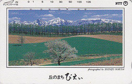 Télécarte JAPON / NTT 431-144 - Dos Sans Typo - TBE - Paysage -  Champ De Fleurs - Flower Japan Phonecard  Telefonkarte - Montagnes