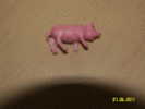 COCHON 5 CM - Other & Unclassified