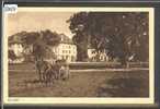 DISTRICT DE COSSONAY /// ST LOUP - ATTELAGE DE CHEVAUX A LA CHARRUE  - TB - Cossonay