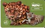 TARJETA DE ESPAÑA CON UN LEOPARDO DE LA COMPAÑIA BIGCATS ESPAÑA 5 EUROS (BIGCAT - Other & Unclassified