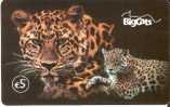 TARJETA DE ESPAÑA CON UN LEOPARDO DE LA COMPAÑIA BIGCATS 5 EUROS (LEOPARD) - Other & Unclassified