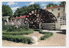 84 - L'ISLE SUR SORGUE - Un Coin Du Jardin Public - Bord Dentele - Très Bon état - L'Isle Sur Sorgue