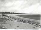 SARZEAU Morbihan 56 : Plage De Suscinio - Sarzeau