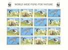 TRISTAN DA CUNHA   Faune Oiseaux Albatros  623 626** BF - Marine Web-footed Birds