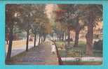 REGNO UNITO SOUTHAMPTON THE AVENUE  CARTOLINA FORMATO PICCOLO VIAGGIATA NEL 1918 - Southampton