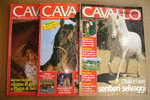 PAO/60 3 N. Rivista CAVALLO MAGAZINE 1997/1999 / Ippica Equitazione - Animali Da Compagnia
