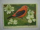 260 UNITED STATES BIRD USA CINDERELLA VIÑETA VIGNETTE REKLAMEMARKE  WERBEMARKE POSTERSTAMP ERINNOPHILIE  REKLAME - Fantasie Vignetten