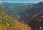 CPM Du MASSIF De L'AIGOUAL - Vue Panoramique Sur La Vallée De VALLERAUGUE - Valleraugue