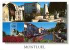 CPM De Montluel - Montluel