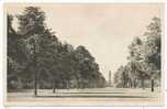 Pagoda Vista, From The Palm House [Kew Gardens] - Surrey