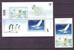 Canada 2009 MiNr. 2547 - 2548 (Block 113) Kanada Fauna BIRDS POLAR YEAR 2v+1bl MNH** 4.80 € - Albatrosse & Sturmvögel