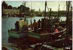 CPM De Loctudy   Les Bateaux De Pêche Côtière - Loctudy