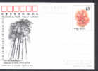 CHINE JP027 Eucalyptus - Flore - Cartes Postales