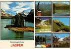 Greetings From Jasper National Park - Parc National - Nature Wildlife - Neuve - État TB - 2 Scans - Jasper