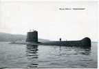 CPM Sous-marin "Espadon" - 1er Sous-marin Ouvert Au Public Base De Saint-Nazaire - Submarines