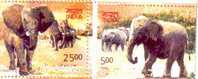 India -2011- Elephants- Indian & African Elephants-Elefanten-Olifanten-Elefantes - Eléphants