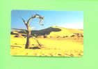 NAMIBIA - Chip Phonecard As Scan - Namibië