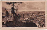 Nederland-Limburg, Valkenburg 1920, Panorama Van Af De Ruine,  Gebruikt Ja - Valkenburg