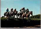 CPM De Craon   Course De Chevaux à L'hippodrome De Craon   Passe De La Route En Banquette - Craon