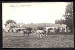 CPA  ANCIENNE- FRANCE- ATHIS-MONS (91)- LE PARC DU CHATEAU DES MARAIS AVEC ANIMATION ANIMALE GROS PLAN- VACHES- CHEVAL - Athis Mons