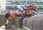 Auteuil,Paris,le Fameux Steeple Chaser Katko,Rail Ditch And Fence,sports,hippisme,cou Rses De Chevaux - Horse Show