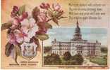 Michigan State Capitol Building , State Flower Apple Blossom, Lansing MI On C1910s Vintage  Postcard - Lansing