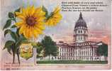 Kansas State Capitol Building , State Flower Sunflower, Topeka KS On C1910s Vintage  Postcard - Topeka