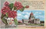 Wisconsin State Capitol Building , State Flower Trailing Arbutus, Madison WI On C1910s Vintage  Postcard - Madison