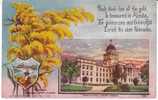 Nebraska State Capitol Building , State Flower Goldenrod, Lincoln NE On C1910s Vintage  Postcard - Autres & Non Classés