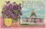 Rhode Island State Capitol Building , State Flower Violet, Providence RI On C1910s Vintage  Postcard - Providence