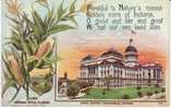 Indiana State Capitol Building , State Flower Corn, Indianapolis IN On C1910s Vintage  Postcard - Indianapolis