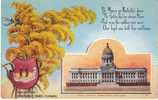 Kentucky State Capitol Building , State Flower Golden Rod, Frankfort KY On C1910s Vintage  Postcard - Frankfort