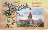 Texas State Capitol Building , State Flower Blue Bonnet, Austin TX On C1910s Vintage  Postcard - Austin