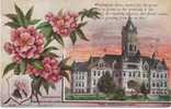 Washington State Capitol Building , State Flower Rhododendron, Olympia WA On C1910s Vintage  Postcard - Sonstige & Ohne Zuordnung