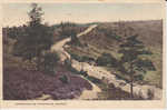 Surrey; Approaching Hindhead  /  Stempel FULHAM  /  1925 - Surrey