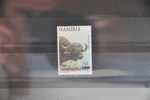 C 205 ++ NAMIBIË NAMIBIA 2006 BUFFALO MNH ** - Namibie (1990- ...)