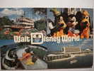 329 DISNEYLAND  ORLANDO FLORIDA USA POSTCARD OTHERS SIMILAR IN MY STORE - Orlando