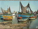 Delcampe - 29 - LESCONIL - Bateaux De Pêche Dans Le Port. (CPSM) - Lesconil