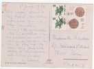 4 Timbres / Carte écrite Le 01/02/1980 , Le Taj Mahal , Agra , 2 Scans - Lettres & Documents