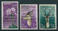 Somalia  1960  Independence (kpl. Set) - Gummi Etwas Gebräunt  Mi-Nr. 1/3  Postfrisch / MNH - Somalië (1960-...)